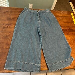 Pilcro super wide leg denim lyocell jeans size 33
